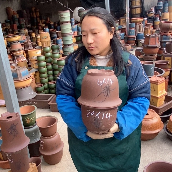 紫砂花盆盆栽花卉苗木种植