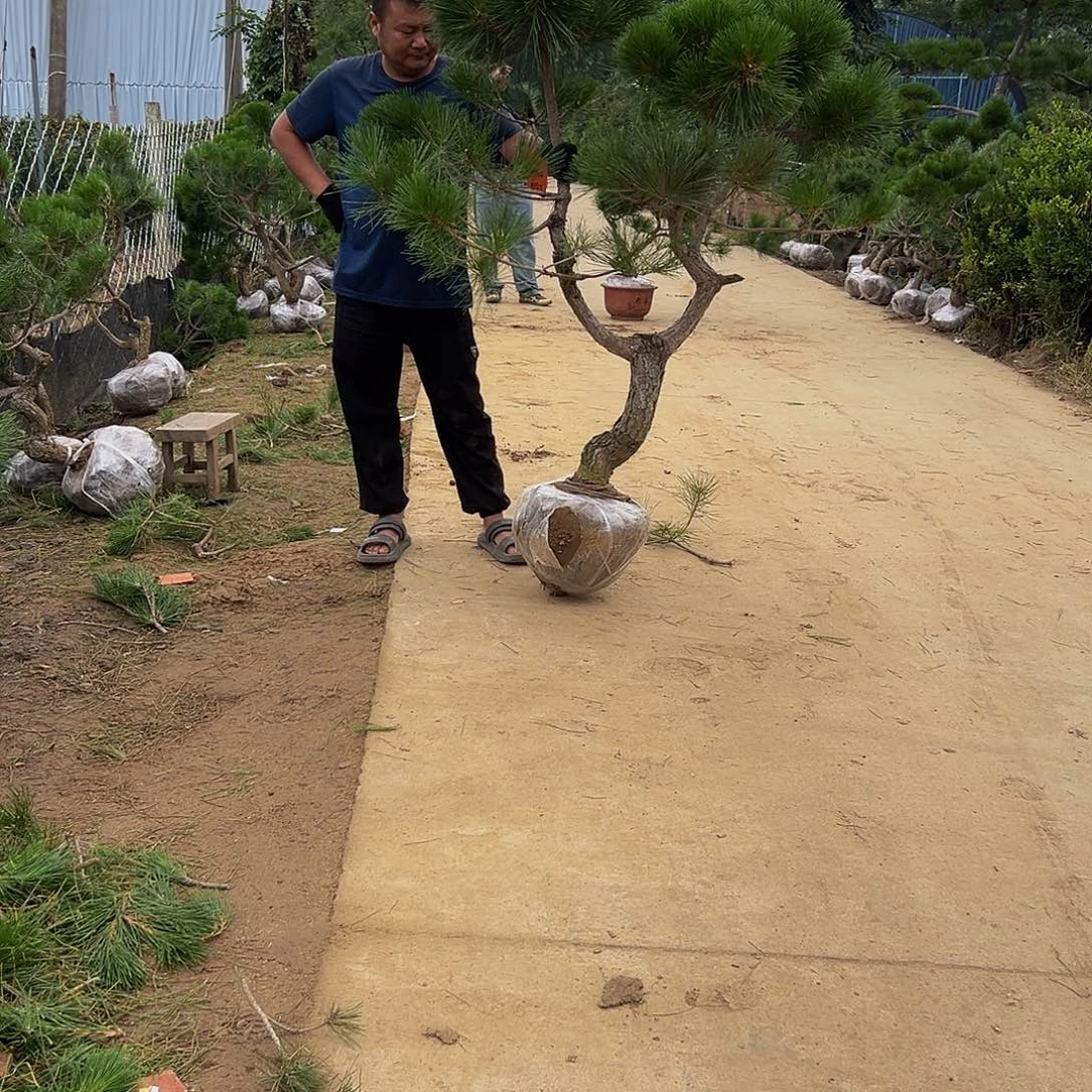 无花朵李*绅88888888888