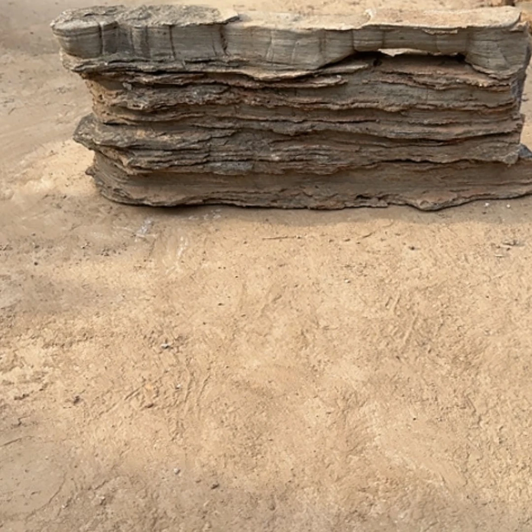 【闪购商品】香榧木正*这么多年了还是要努力