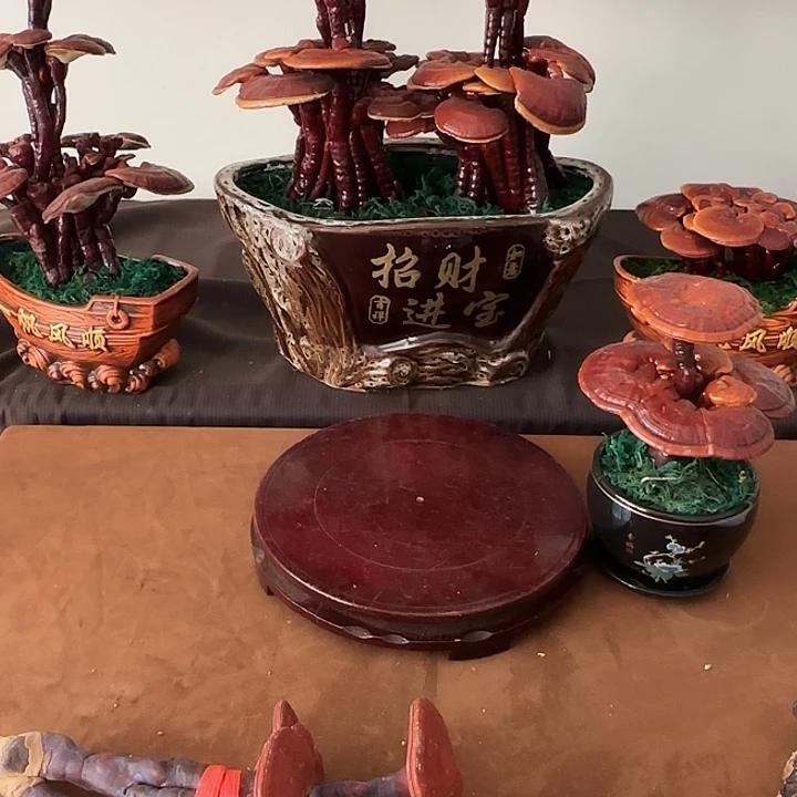 胖***√无花朵灵芝盆景居家盆景