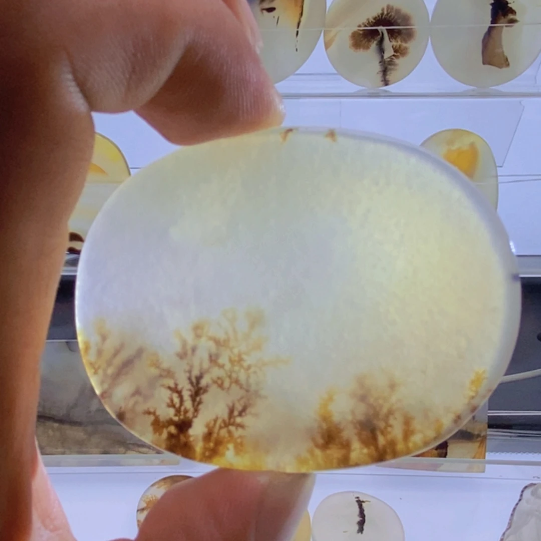 玛瑙/玉髓颈饰未镶嵌