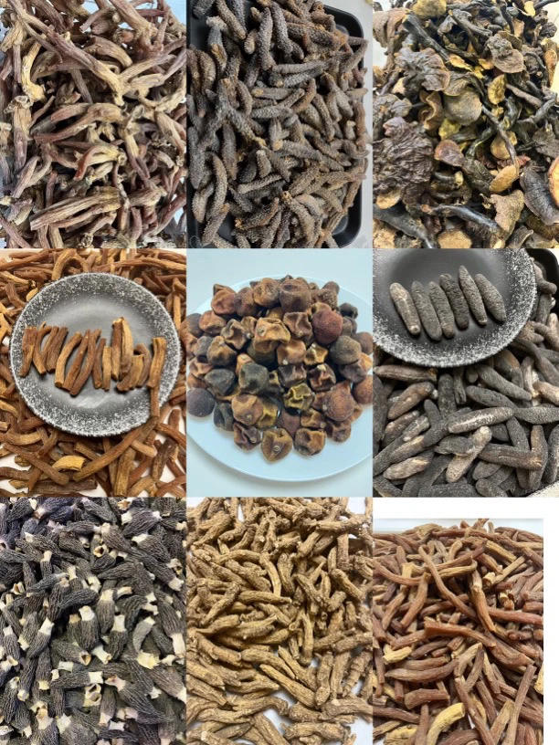 【宽少甄选】（盲）盒         桃胶