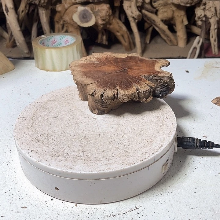 香榧木麻梨的小可爱来