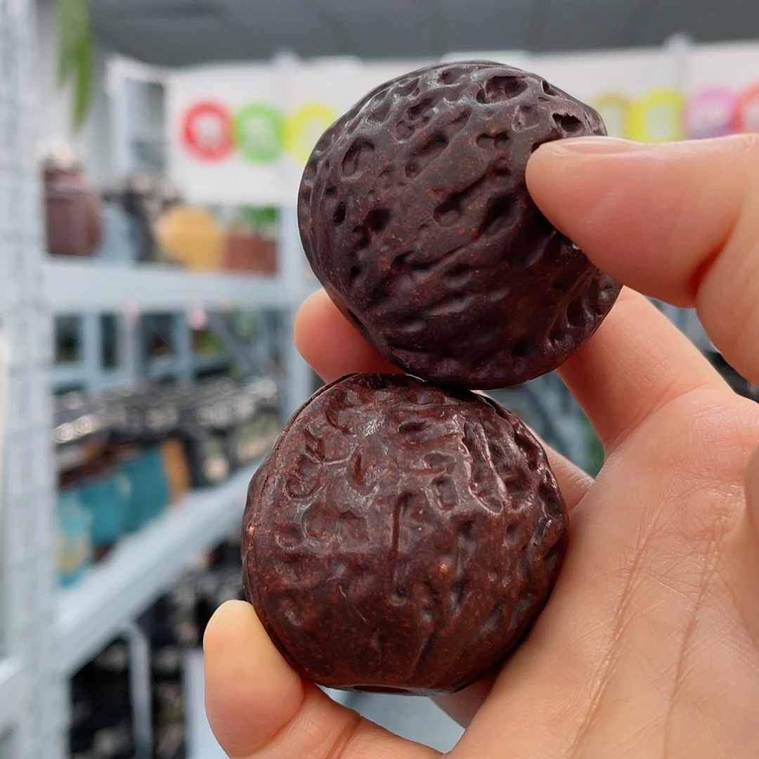 紫砂茶杯核桃111111111111111