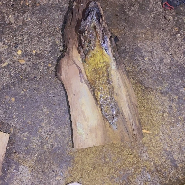宜***部乌木金丝楠小叶桢楠毛料