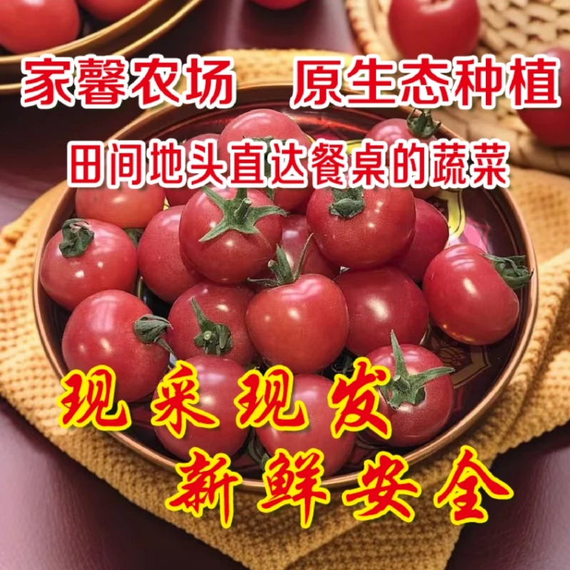 泰安特产 番茄贝贝靓贝水果西红柿草莓西红柿普罗旺斯八八