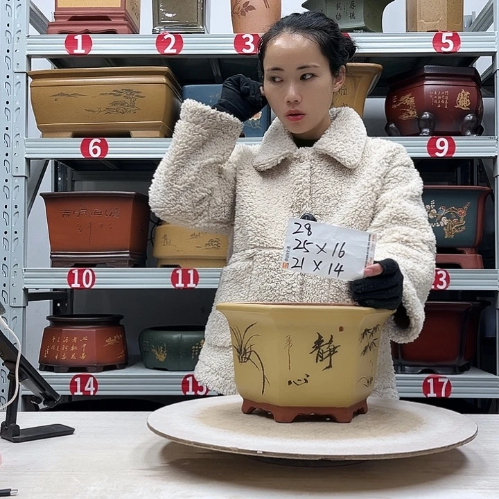 紫砂花盆紫砂花盆