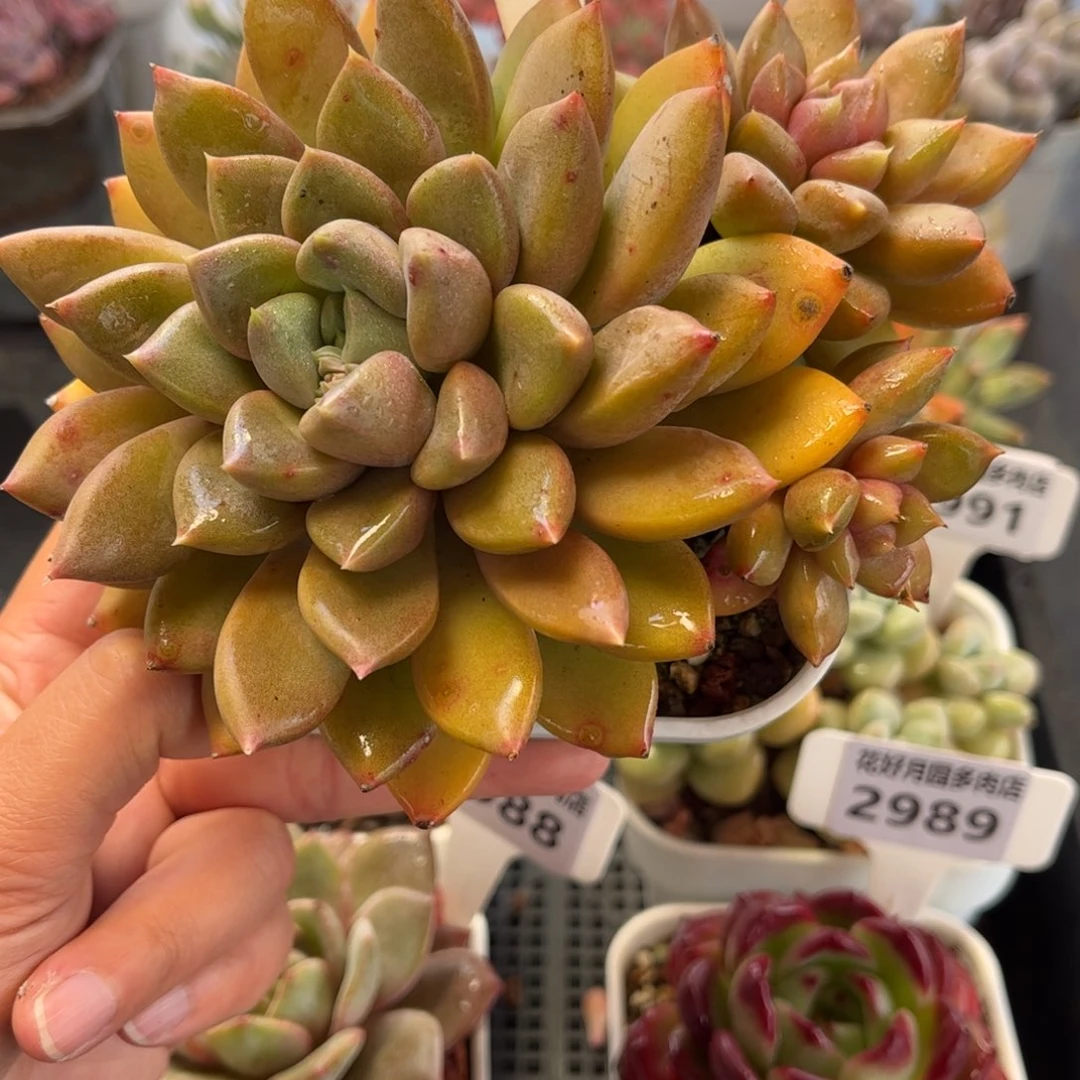 2992 满30包邮天冷地区必拍保温箱