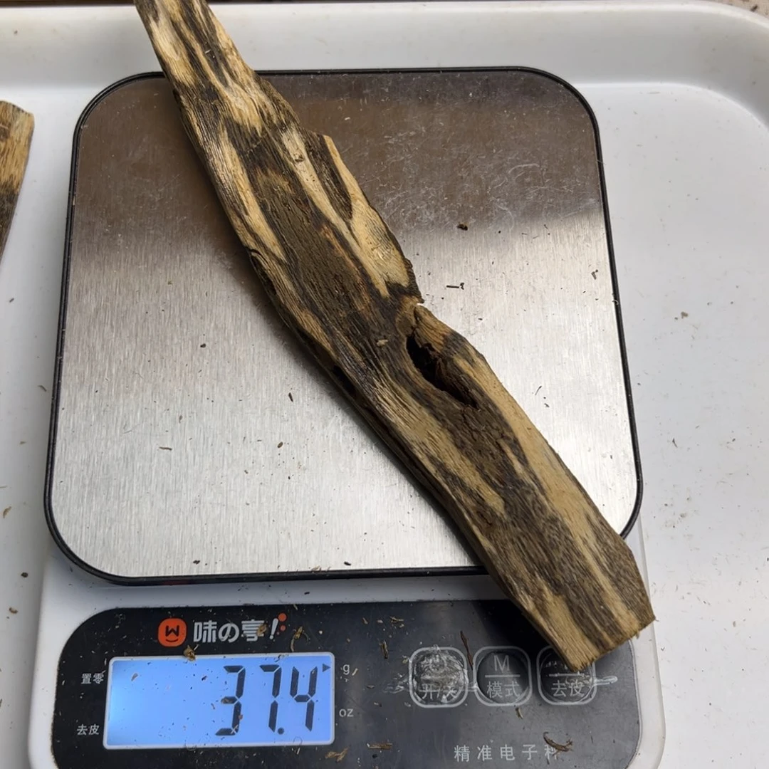 原木奇楠香虫漏37克一
