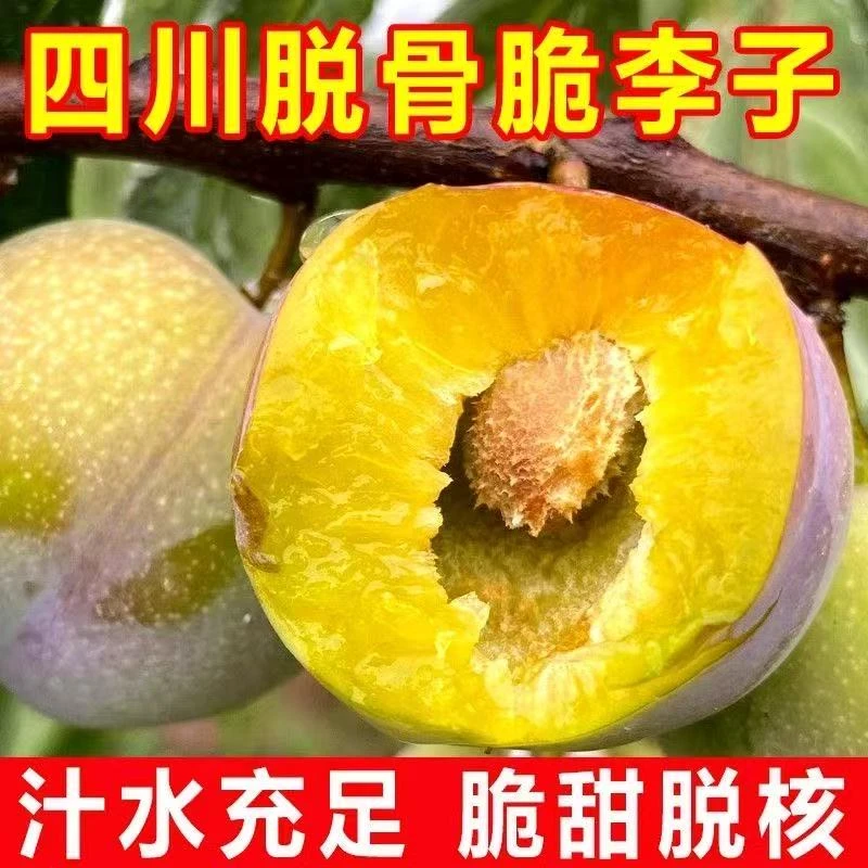 四川正宗脱骨李半边红李子整箱空心脱骨李5斤新鲜当季水果N