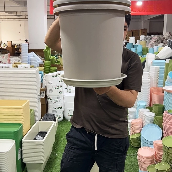 小*?新四季口39高38米色3个带托