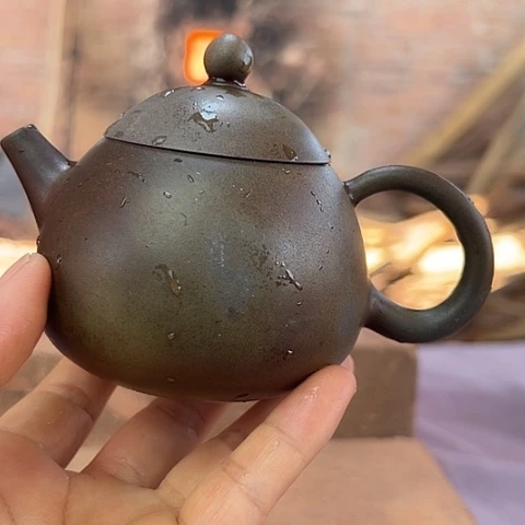 戬谷龙窑柴烧茶壶198