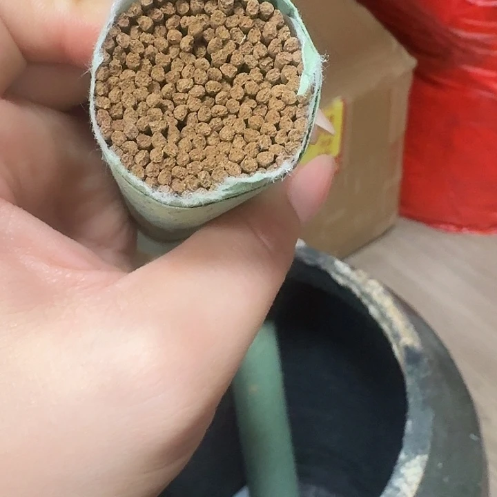 瓷片香港壳子100克。。。。。。。。。。