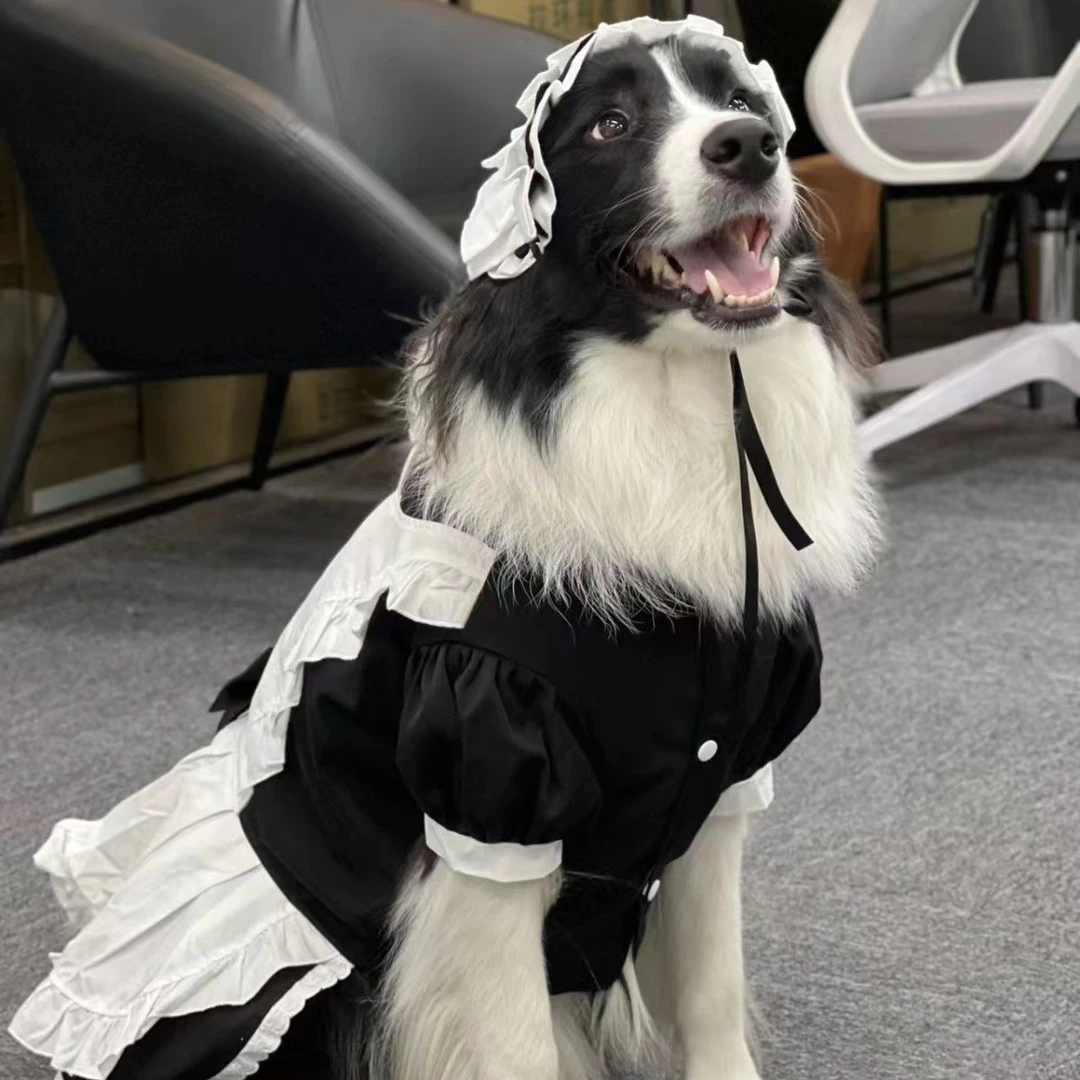 宠物中大型犬裙子狗狗变身装金毛边牧女仆婚礼衣服围裙萨摩耶可爱