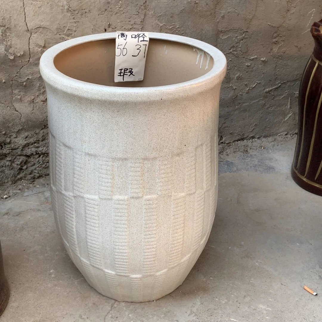 花盆里的小猫咪也是可爱又