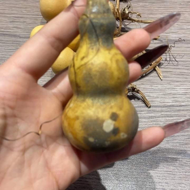 m***e花皮葫芦葫芦葫芦