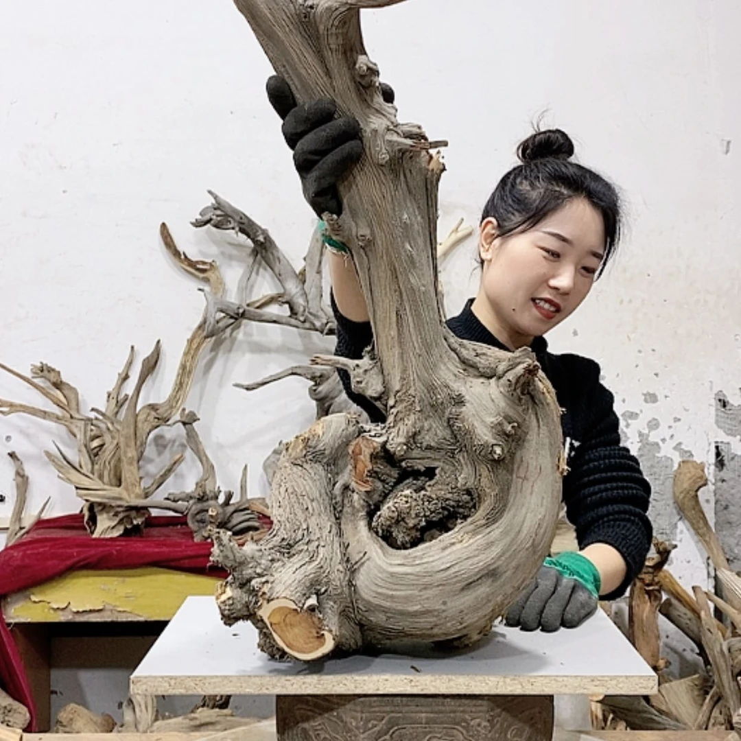 【闪购商品】柏木张**雕我们都是好孩子