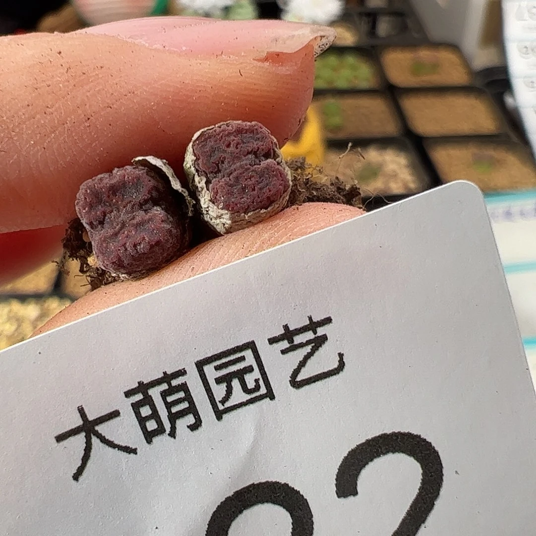 l***90000122 一物一拍。