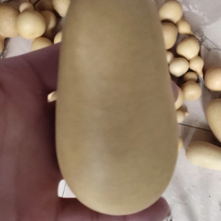 天***安天然葫芦一个东瓜葫芦