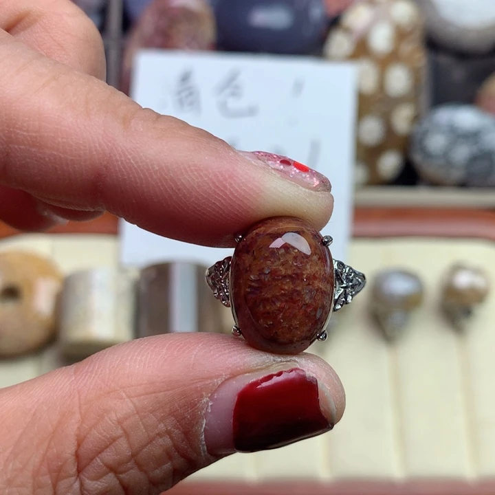 硅化珊瑚（珊瑚玉）颈饰未镶嵌