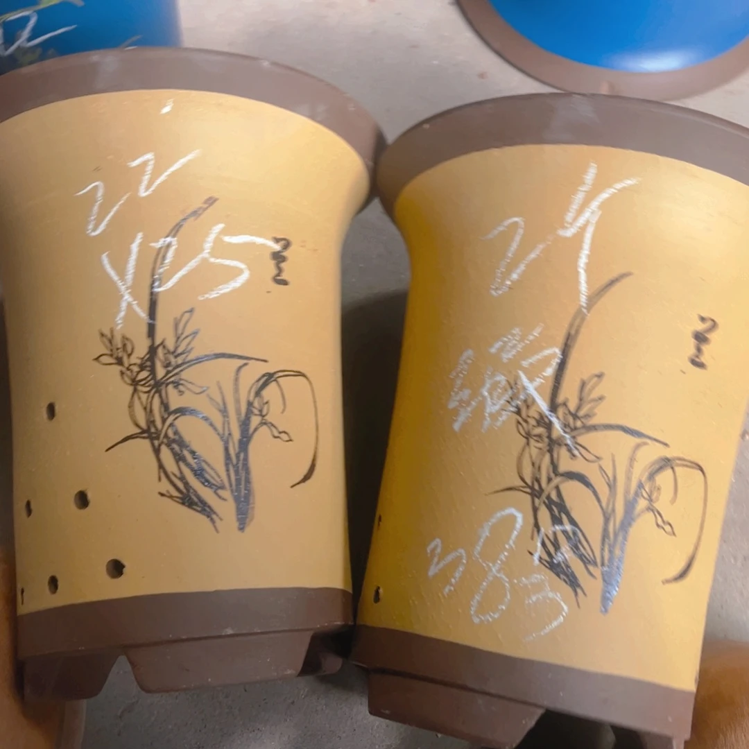 紫砂38……………………………………