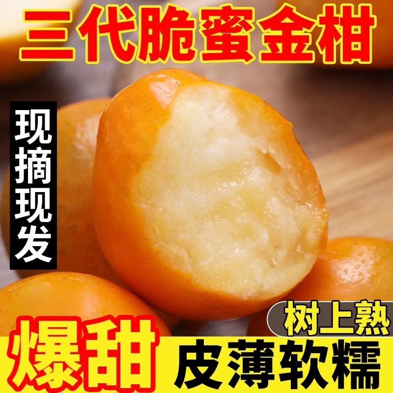 广西融安脆蜜三代金柑爆甜应季新鲜水果