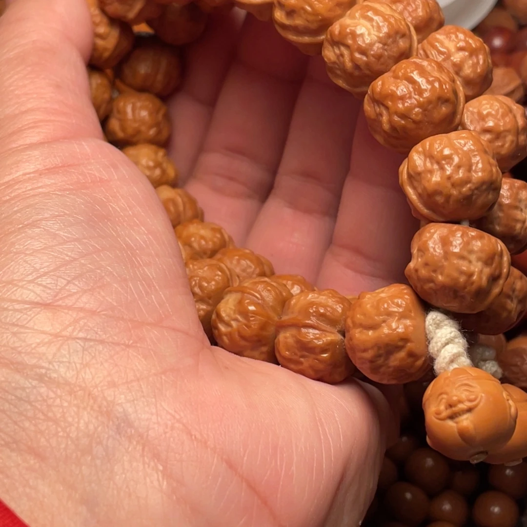 a***i崖柏猴头核桃树下2