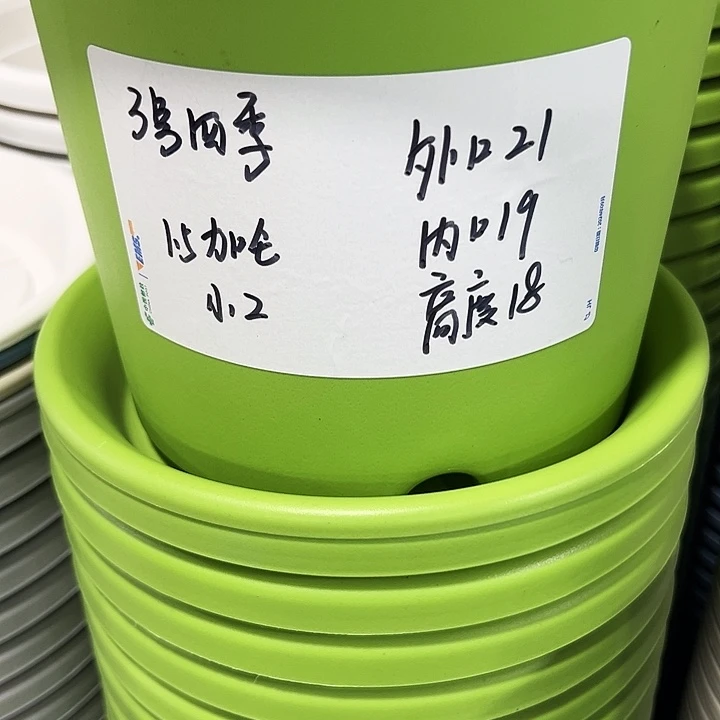 特价3号四季口21高18白色10个无托