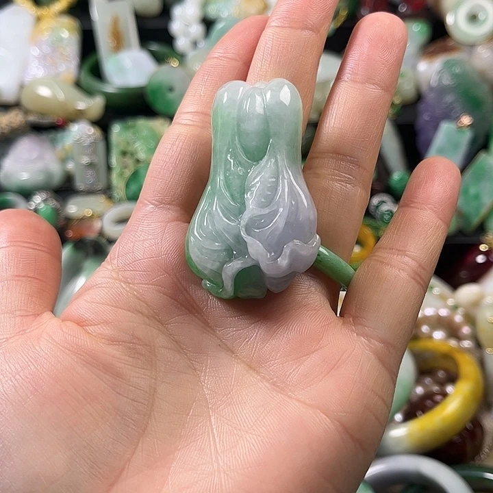 翡翠未镶嵌颈饰翡翠未镶嵌颈饰