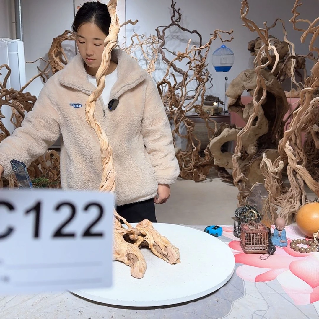风车木（黑檀木）困****睡
