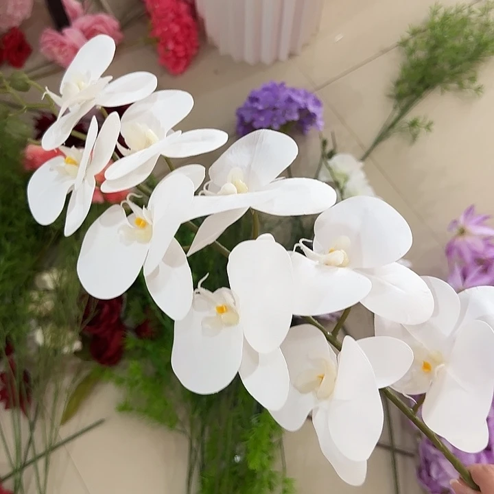 5支 3D蝴蝶兰仿真花白色