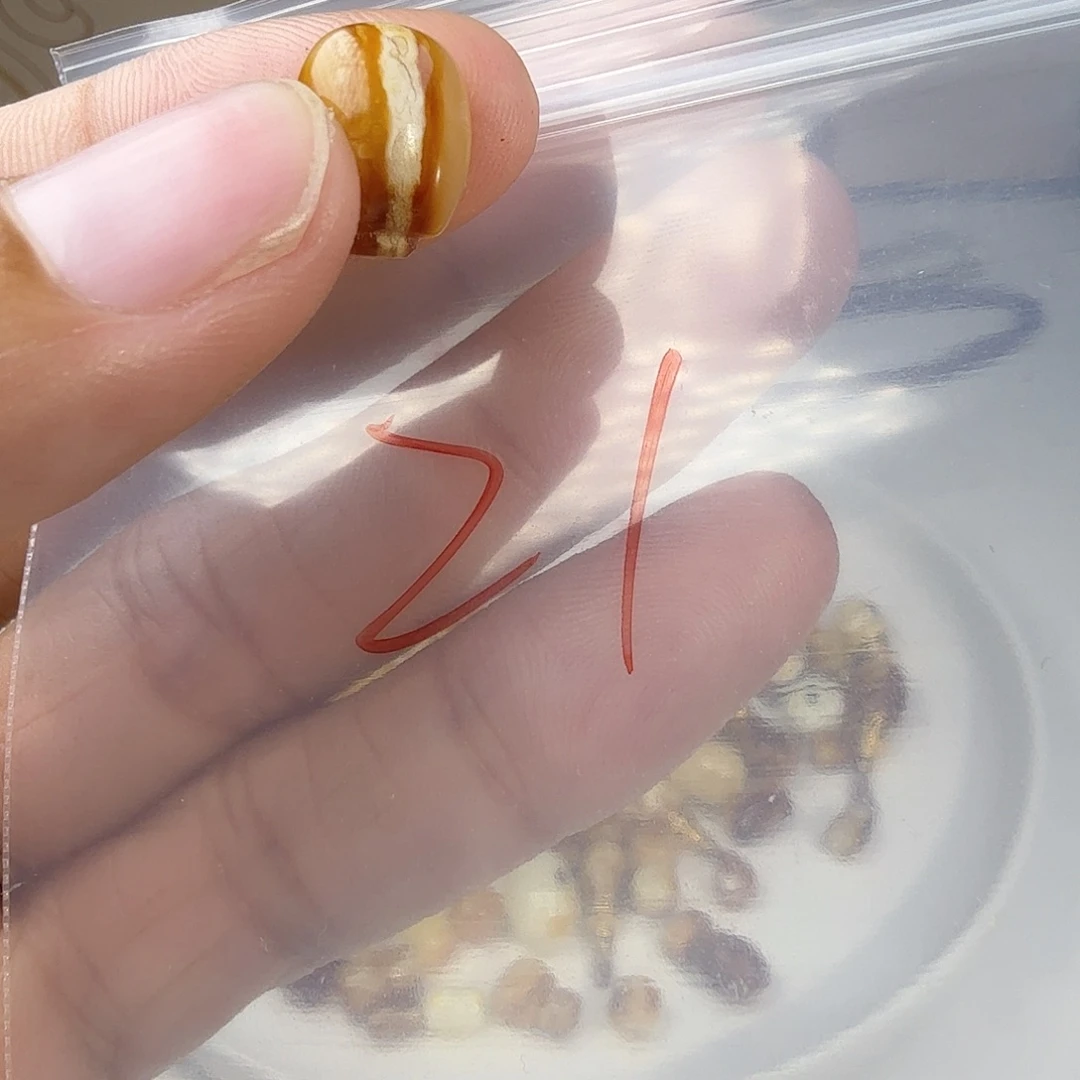 琥珀未镶嵌裸石琥珀