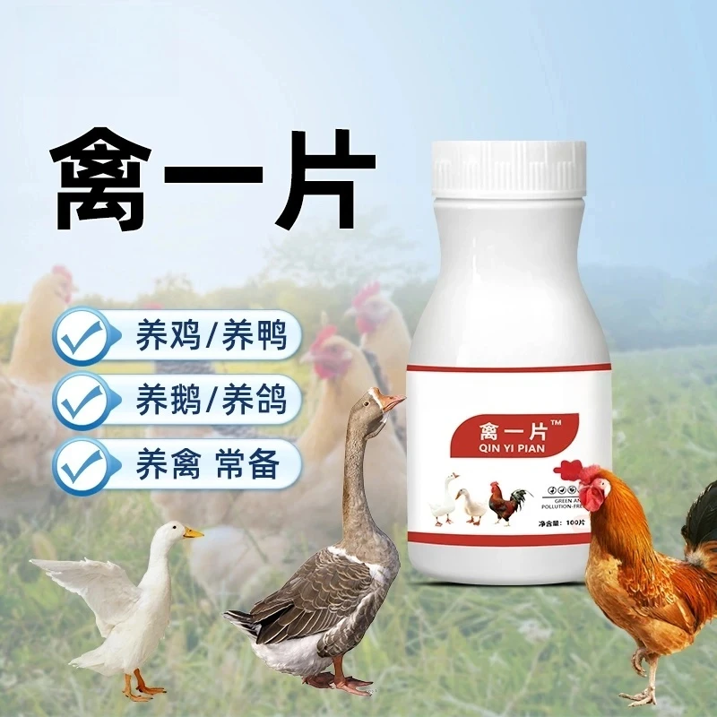 【4·8抢100片】禽一片正品禽类养殖鸡鸭鹅畜牧