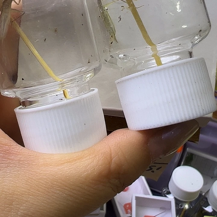 小***儿哈哈哈哈哈哈哈哈哈哈哈