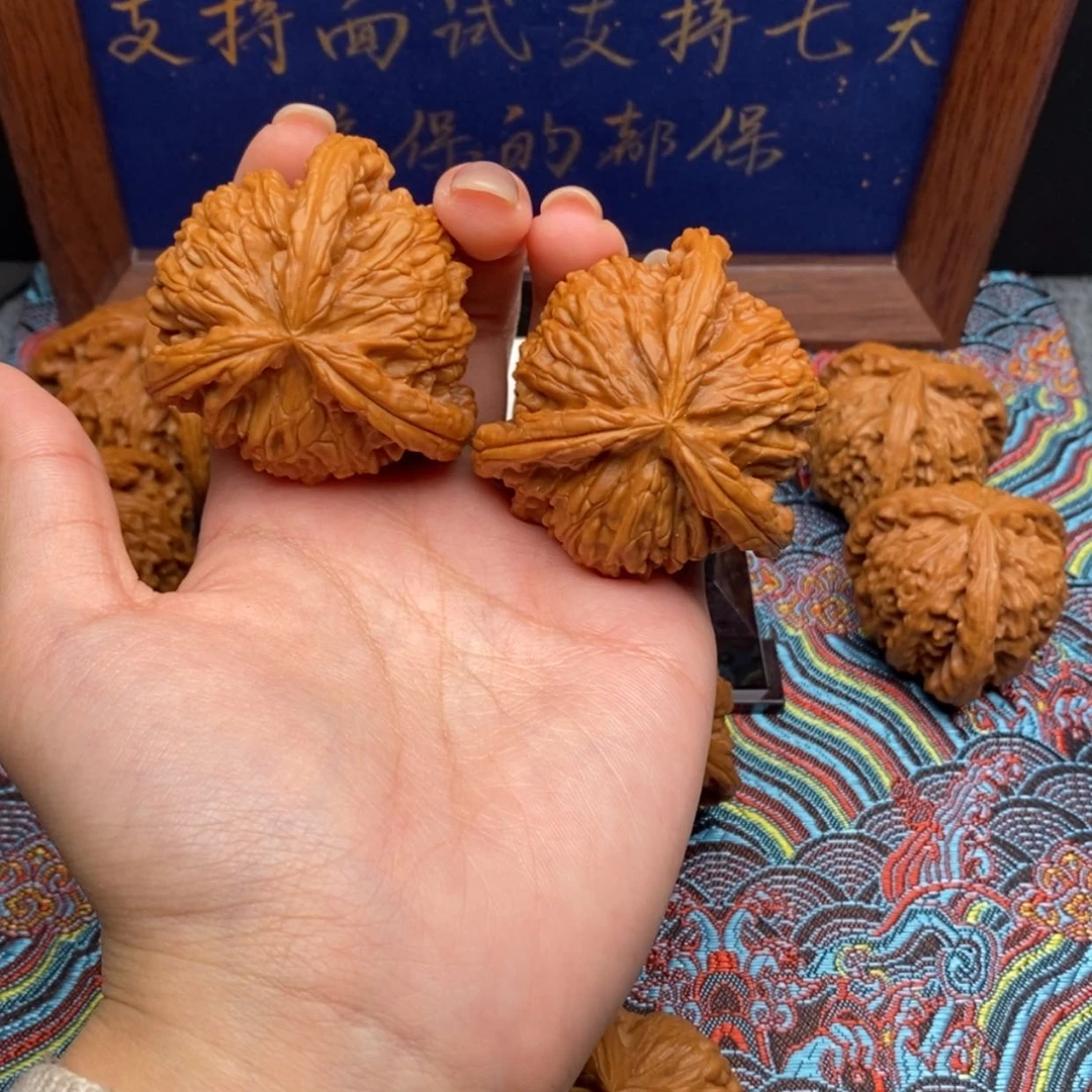 【闪购商品】我**翔白狮