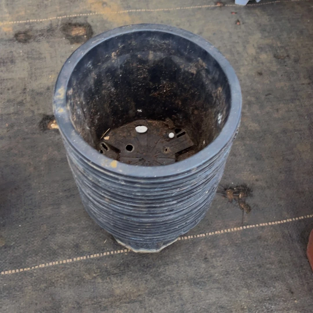 旧口径15高度12黑砖盆20个