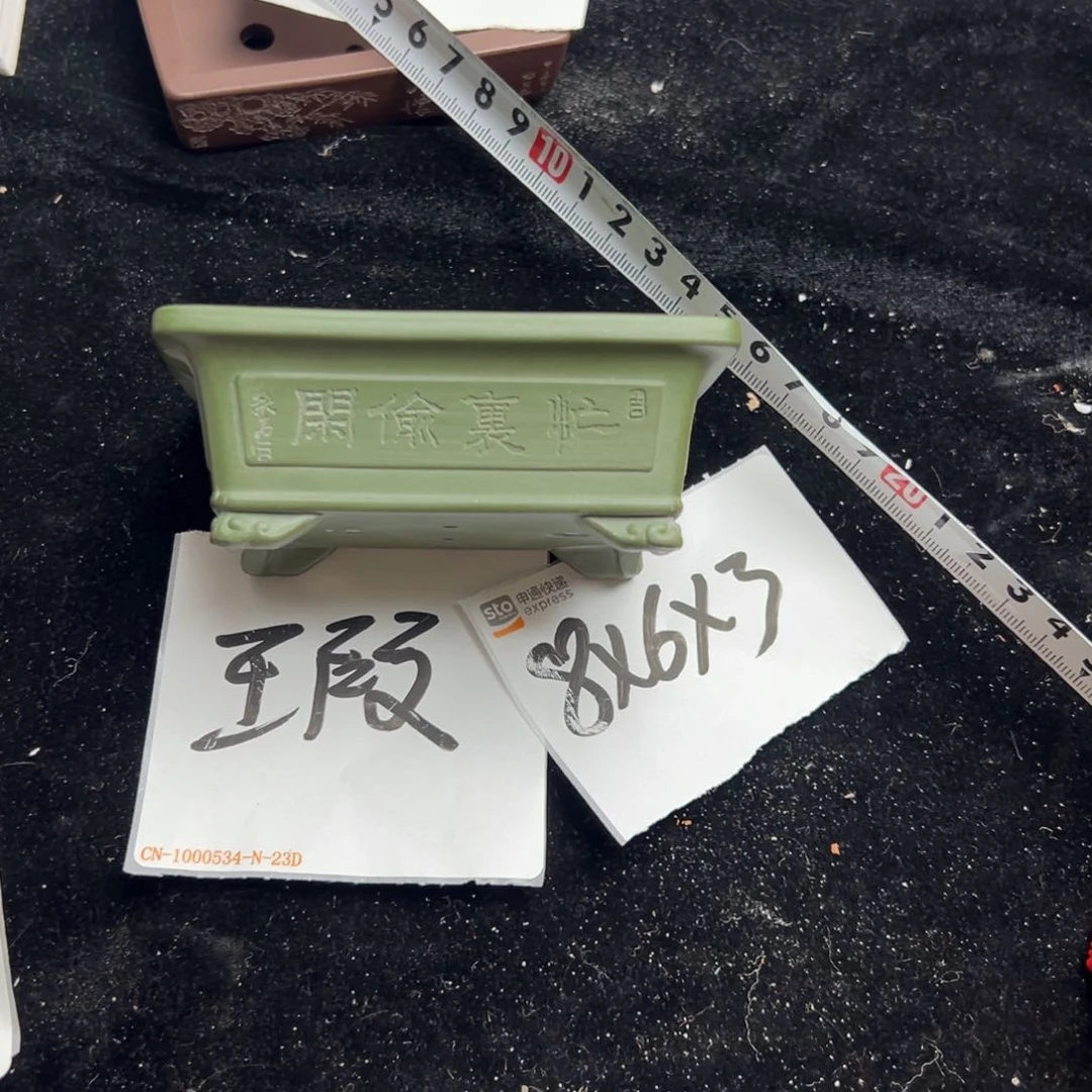 wwwww鹅鹅鹅鹅鹅鹅