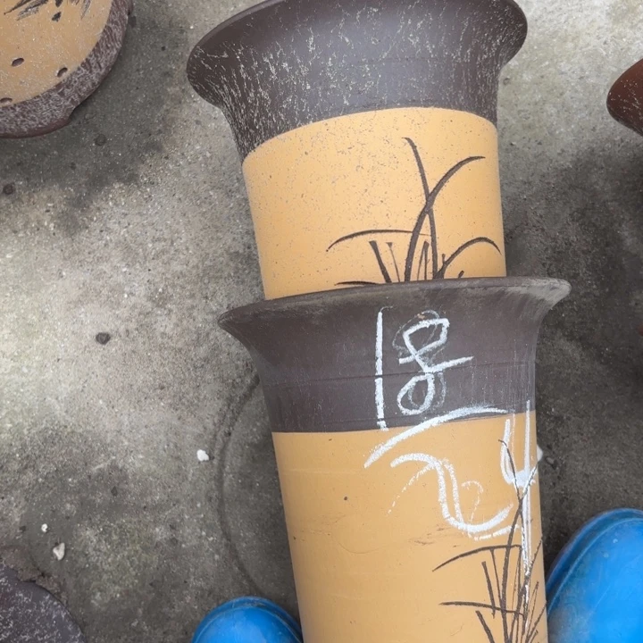 花盆紫砂紫砂的花