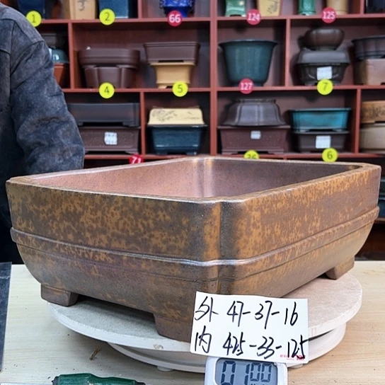 红陶良*紫砂花盆里放的东西