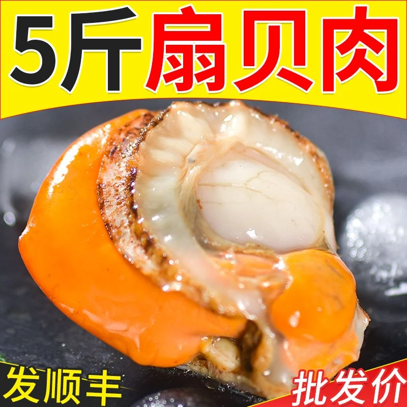 新鲜大个熟冻扇贝肉无泥无沙带膏带黄顺丰包邮
