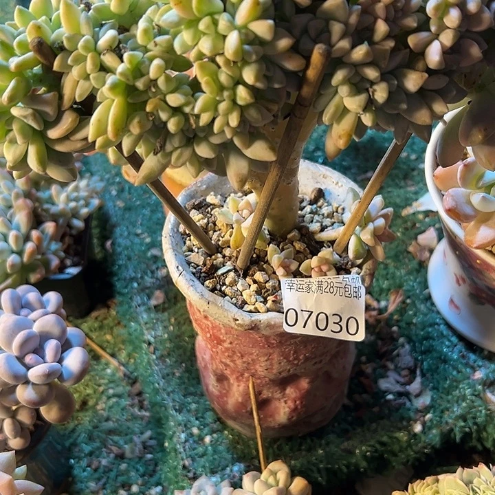 幸运的是我没有遇到过这么