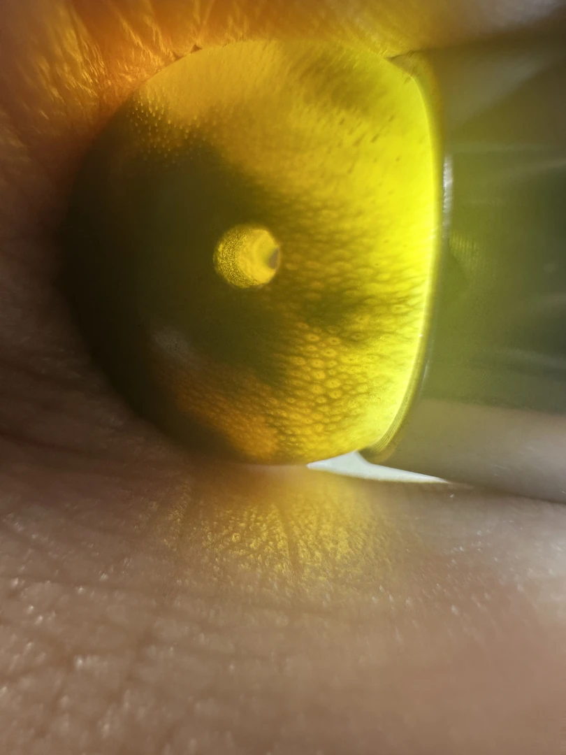 牛牛糖丸家居饰品摆件