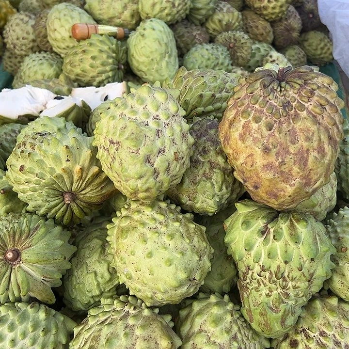 中国大陆释迦果5斤