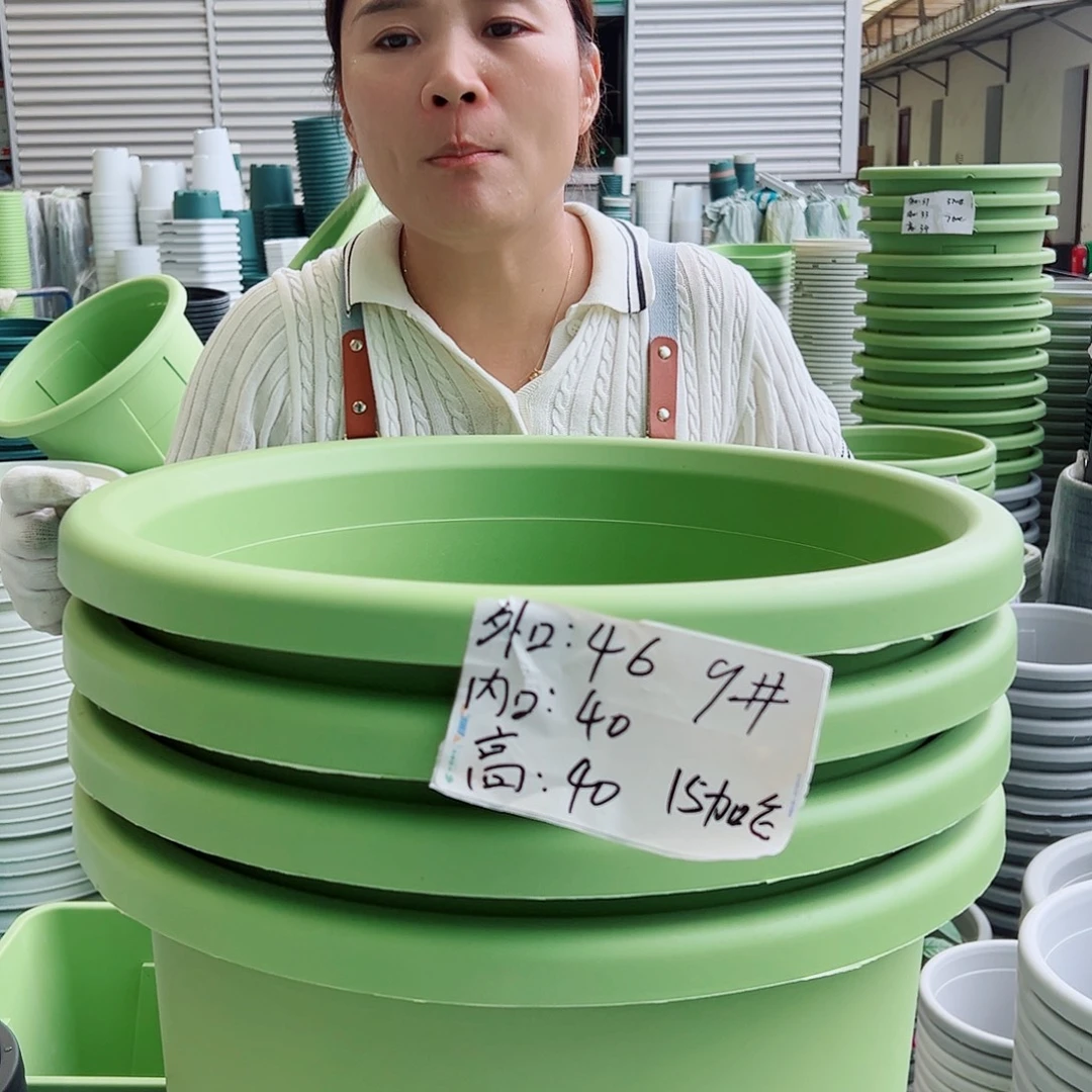 四季盆9#果绿色4个无托