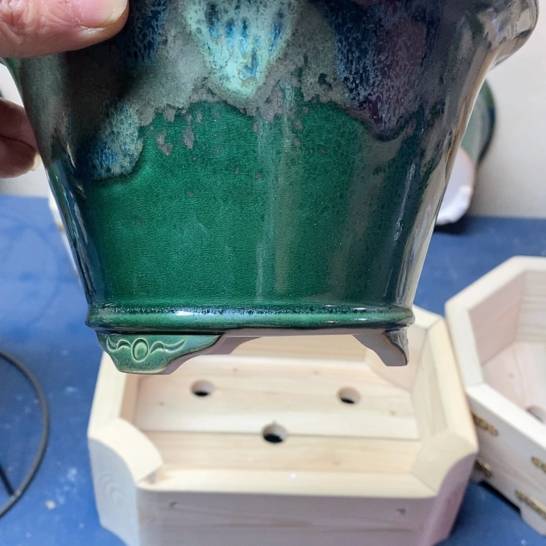 盆景19斗立包邮到家