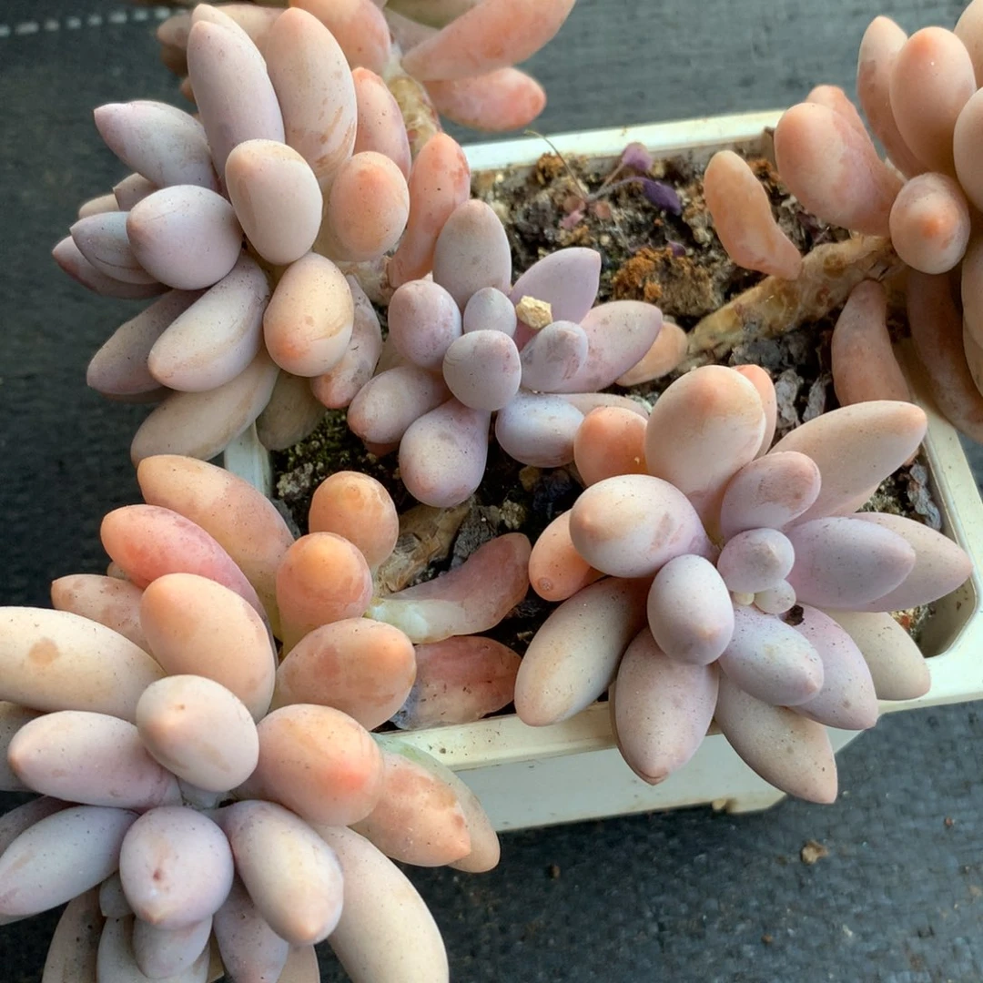 全场最开心的是你自己
