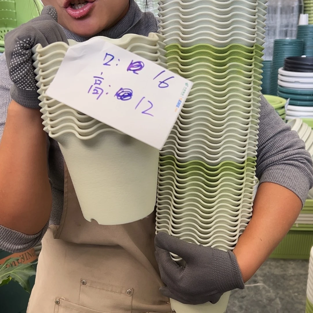 瑕疵荷叶边1#米白10个无托