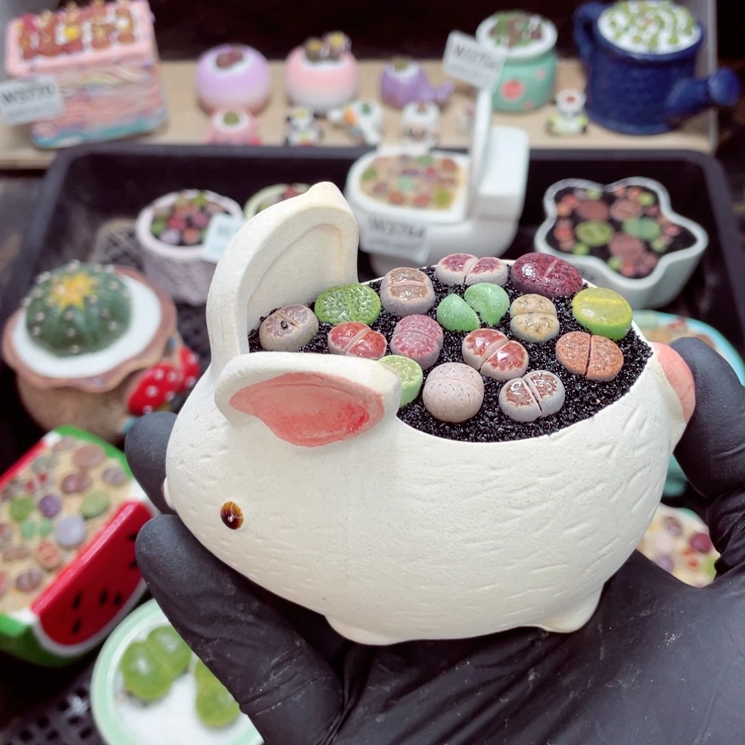 夜间零下地区拍保温箱w3787