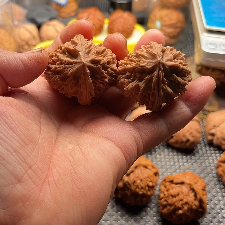 把件桃核全品状元边39肚42