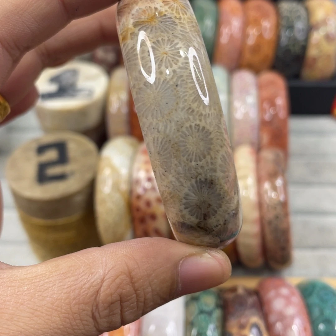 未镶嵌手镯硅化玉